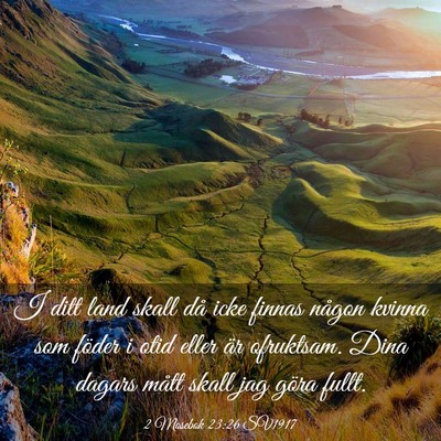Picture 03 - 2 Mosebok 23:26 SV1917 - I ditt land skall då icke finnas någon kvinna - Bible Verse Picture