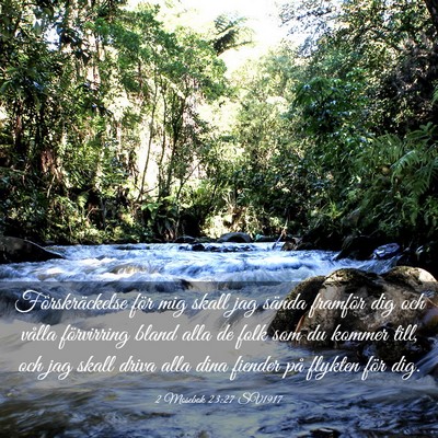 Picture 03 - 2 Mosebok 23:27 SV1917 - Förskräckelse för mig skall jag sända - Bible Verse Picture