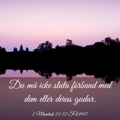 Picture 03 - 2 Mosebok 23:32 SV1917 - Du må icke sluta förbund med dem eller deras - Bible Verse Picture