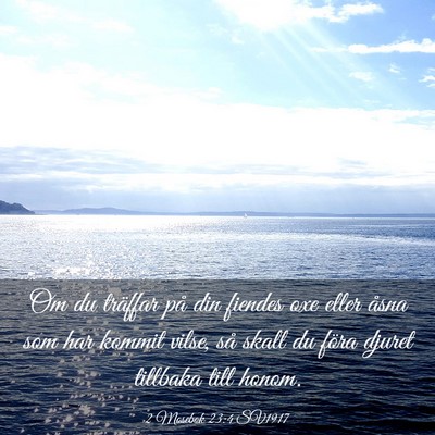 Picture 03 - 2 Mosebok 23:4 SV1917 - Om du träffar på din fiendes oxe eller åsna - Bible Verse Picture