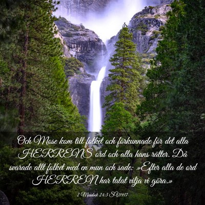 Picture 03 - 2 Mosebok 24:3 SV1917 - Och Mose kom till folket och förkunnade för det - Bible Verse Picture