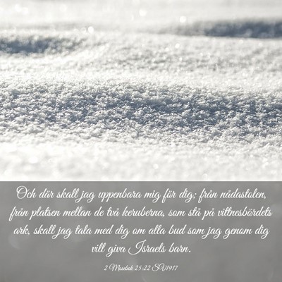 Picture 03 - 2 Mosebok 25:22 SV1917 - Och där skall jag uppenbara mig för dig; från - Bible Verse Picture