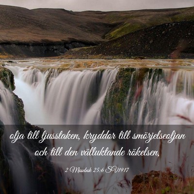 Picture 03 - 2 Mosebok 25:6 SV1917 - olja till ljusstaken, kryddor till - Bible Verse Picture