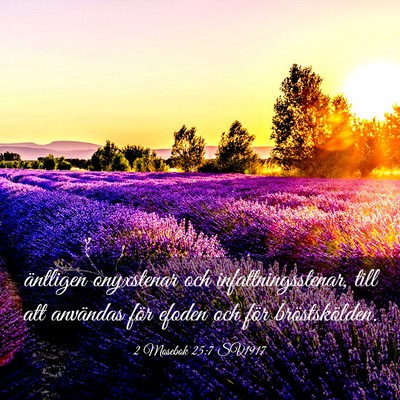 Picture 03 - 2 Mosebok 25:7 SV1917 - äntligen onyxstenar och infattningsstenar, till - Bible Verse Picture