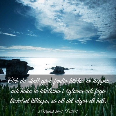 Picture 03 - 2 Mosebok 26:11 SV1917 - Och du skall göra femtio häktor av koppar och - Bible Verse Picture