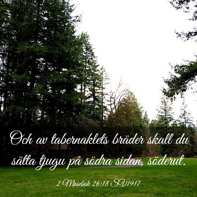 Picture 03 - 2 Mosebok 26:18 SV1917 - Och av tabernaklets bräder skall du sätta tjugu - Bible Verse Picture