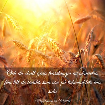 Picture 03 - 2 Mosebok 26:26 SV1917 - Och du skall göra tvärstänger av akacieträ, - Bible Verse Picture