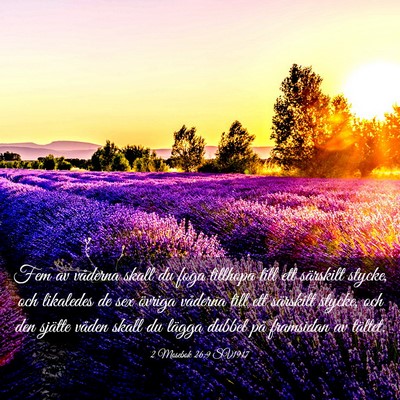 Picture 03 - 2 Mosebok 26:9 SV1917 - Fem av våderna skall du foga tillhopa till ett - Bible Verse Picture