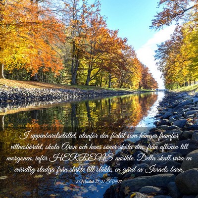 Picture 03 - 2 Mosebok 27:21 SV1917 - I uppenbarelsetältet, utanför den förlåt som - Bible Verse Picture