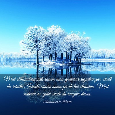 Picture 03 - 2 Mosebok 28:11 SV1917 - Med stensnidarkonst, såsom man graverar - Bible Verse Picture