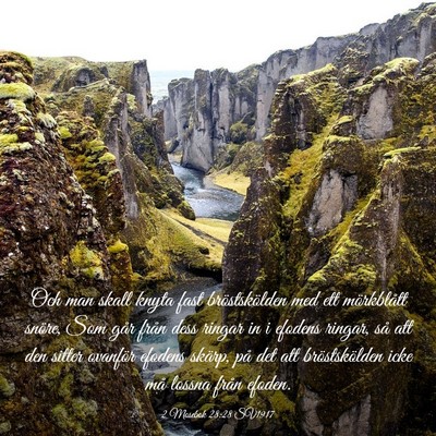 Picture 03 - 2 Mosebok 28:28 SV1917 - Och man skall knyta fast bröstskölden med ett - Bible Verse Picture