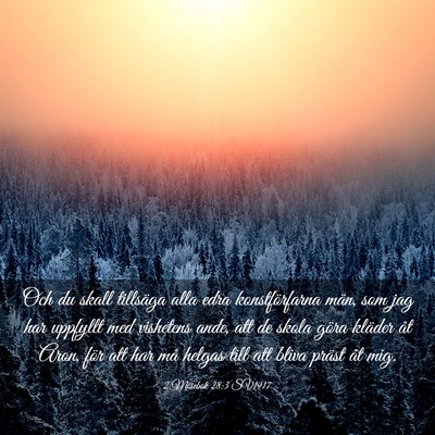 Picture 03 - 2 Mosebok 28:3 SV1917 - Och du skall tillsäga alla edra konstförfarna - Bible Verse Picture