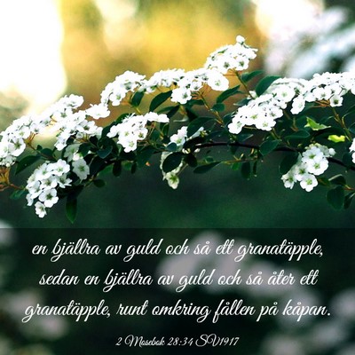 Picture 03 - 2 Mosebok 28:34 SV1917 - en bjällra av guld och så ett granatäpple, - Bible Verse Picture