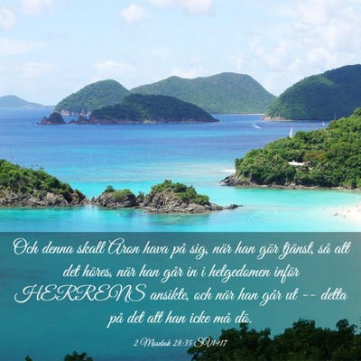 Picture 03 - 2 Mosebok 28:35 SV1917 - Och denna skall Aron hava på sig, när han gör - Bible Verse Picture