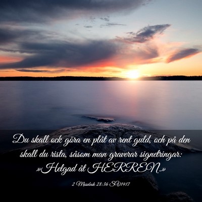 Picture 03 - 2 Mosebok 28:36 SV1917 - Du skall ock göra en plåt av rent guld, och på - Bible Verse Picture