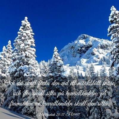 Picture 03 - 2 Mosebok 28:37 SV1917 - Och du skall fästa den vid ett mörkblått - Bible Verse Picture