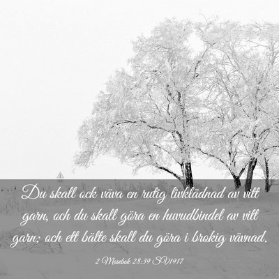 Picture 03 - 2 Mosebok 28:39 SV1917 - Du skall ock väva en rutig livklädnad av vitt - Bible Verse Picture