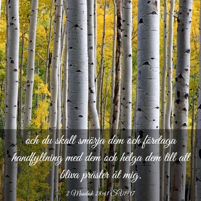 Picture 03 - 2 Mosebok 28:41 SV1917 - och du skall smörja dem och företaga - Bible Verse Picture