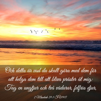 Picture 03 - 2 Mosebok 29:1 SV1917 - Och detta är vad du skall göra med dem för att - Bible Verse Picture