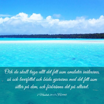 Picture 03 - 2 Mosebok 29:13 SV1917 - Och du skall taga allt det fett som omsluter - Bible Verse Picture