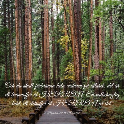 Picture 03 - 2 Mosebok 29:18 SV1917 - Och du skall förbränna hela väduren på - Bible Verse Picture