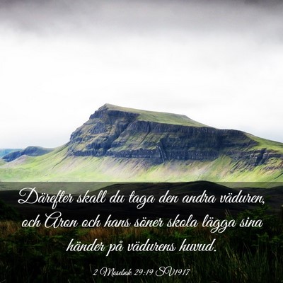 Picture 03 - 2 Mosebok 29:19 SV1917 - Därefter skall du taga den andra väduren, och - Bible Verse Picture