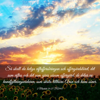 Picture 03 - 2 Mosebok 29:27 SV1917 - Så skall du helga viftoffersbringan och - Bible Verse Picture