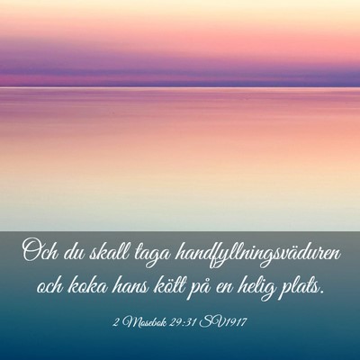 Picture 03 - 2 Mosebok 29:31 SV1917 - Och du skall taga handfyllningsväduren och koka - Bible Verse Picture