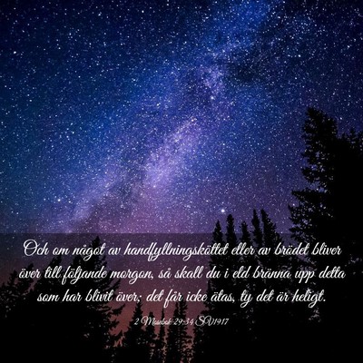 Picture 03 - 2 Mosebok 29:34 SV1917 - Och om något av handfyllningsköttet eller av - Bible Verse Picture