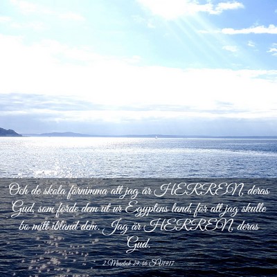 Picture 03 - 2 Mosebok 29:46 SV1917 - Och de skola förnimma att jag är HERREN, deras - Bible Verse Picture