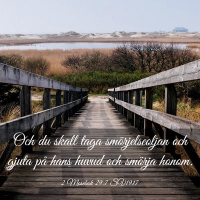 Picture 03 - 2 Mosebok 29:7 SV1917 - Och du skall taga smörjelseoljan och gjuta på - Bible Verse Picture