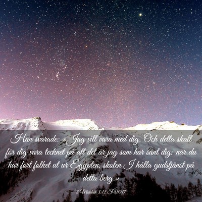 Picture 03 - 2 Mosebok 3:12 SV1917 - Han svarade: »Jag vill vara med dig. Och detta - Bible Verse Picture