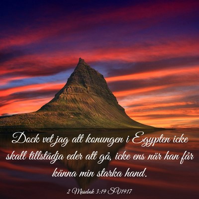 Picture 03 - 2 Mosebok 3:19 SV1917 - Dock vet jag att konungen i Egypten icke skall - Bible Verse Picture