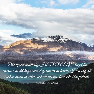 Picture 03 - 2 Mosebok 3:2 SV1917 - Där uppenbarade sig HERRENS ängel för honom i - Bible Verse Picture