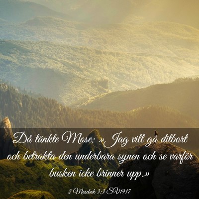 Picture 03 - 2 Mosebok 3:3 SV1917 - Då tänkte Mose: »Jag vill gå ditbort och - Bible Verse Picture