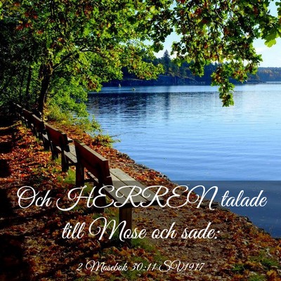 Picture 03 - 2 Mosebok 30:11 SV1917 - Och HERREN talade till Mose och - Bible Verse Picture