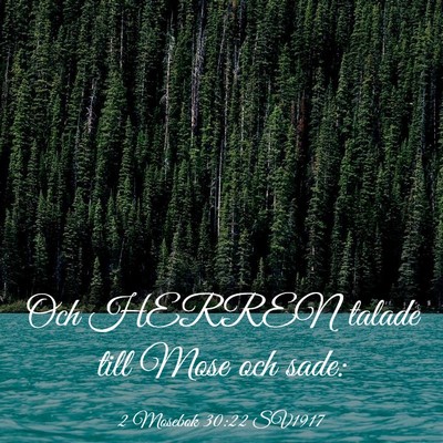 Picture 03 - 2 Mosebok 30:22 SV1917 - Och HERREN talade till Mose och - Bible Verse Picture