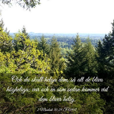 Picture 03 - 2 Mosebok 30:29 SV1917 - Och du skall helga dem, så att de bliva - Bible Verse Picture