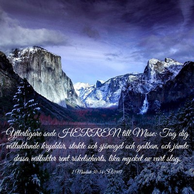 Picture 03 - 2 Mosebok 30:34 SV1917 - Ytterligare sade HERREN till Mose: Tag dig - Bible Verse Picture