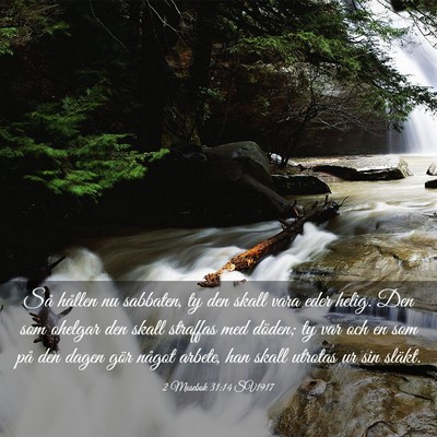 Picture 03 - 2 Mosebok 31:14 SV1917 - Så hållen nu sabbaten, ty den skall vara eder - Bible Verse Picture
