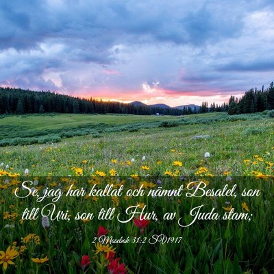 Picture 03 - 2 Mosebok 31:2 SV1917 - Se, jag har kallat och nämnt Besalel, son till - Bible Verse Picture