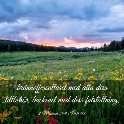 Picture 03 - 2 Mosebok 31:9 SV1917 - brännoffersaltaret med alla dess tillbehör, - Bible Verse Picture