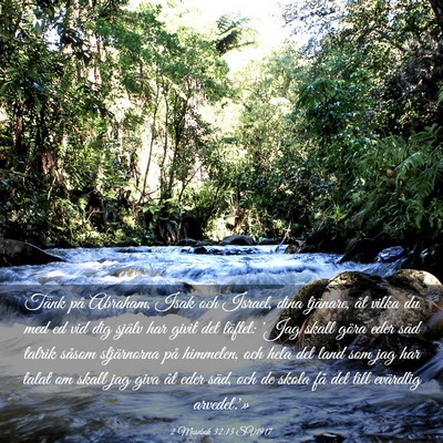 Picture 03 - 2 Mosebok 32:13 SV1917 - Tänk på Abraham, Isak och Israel, dina - Bible Verse Picture