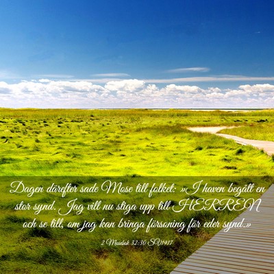 Picture 03 - 2 Mosebok 32:30 SV1917 - Dagen därefter sade Mose till folket: »I haven - Bible Verse Picture