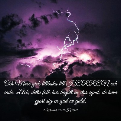 Picture 03 - 2 Mosebok 32:31 SV1917 - Och Mose gick tillbaka till HERREN och sade: - Bible Verse Picture