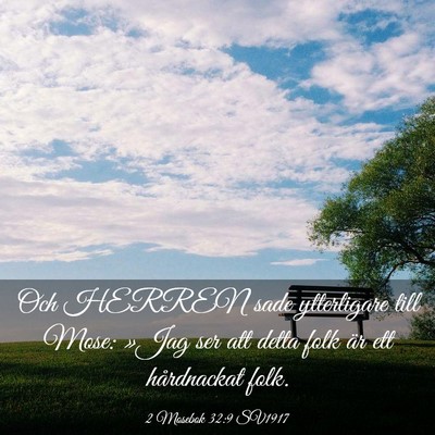 Picture 03 - 2 Mosebok 32:9 SV1917 - Och HERREN sade ytterligare till Mose: »Jag ser - Bible Verse Picture
