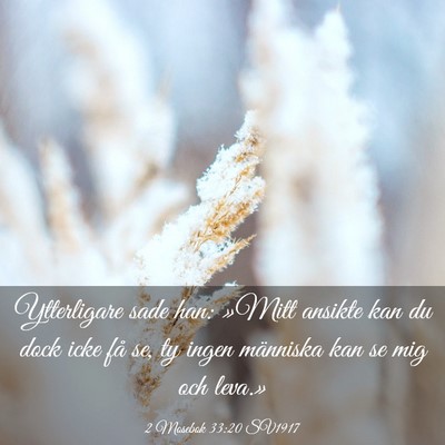 Picture 03 - 2 Mosebok 33:20 SV1917 - Ytterligare sade han: »Mitt ansikte kan du dock - Bible Verse Picture