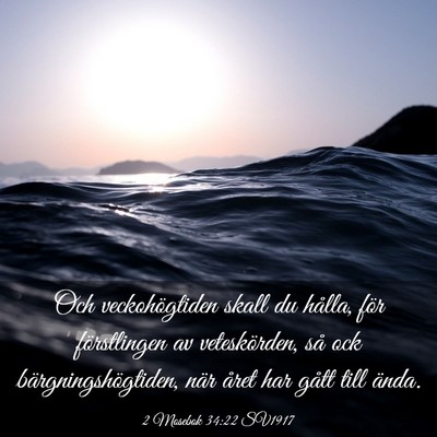 Picture 03 - 2 Mosebok 34:22 SV1917 - Och veckohögtiden skall du hålla, för - Bible Verse Picture