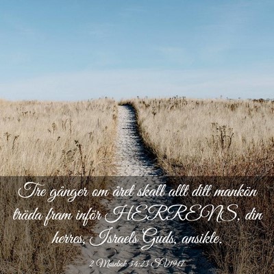 Picture 03 - 2 Mosebok 34:23 SV1917 - Tre gånger om året skall allt ditt mankön - Bible Verse Picture
