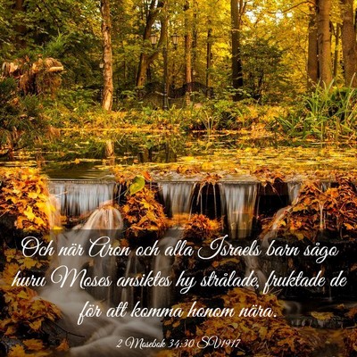 Picture 03 - 2 Mosebok 34:30 SV1917 - Och när Aron och alla Israels barn sågo huru - Bible Verse Picture